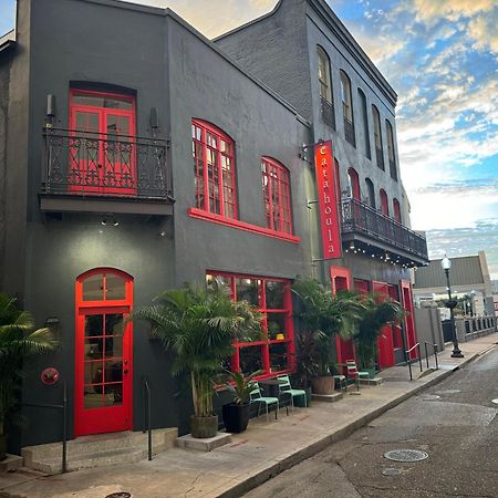 Catahoula Hotel New Orleans Ngoại thất bức ảnh